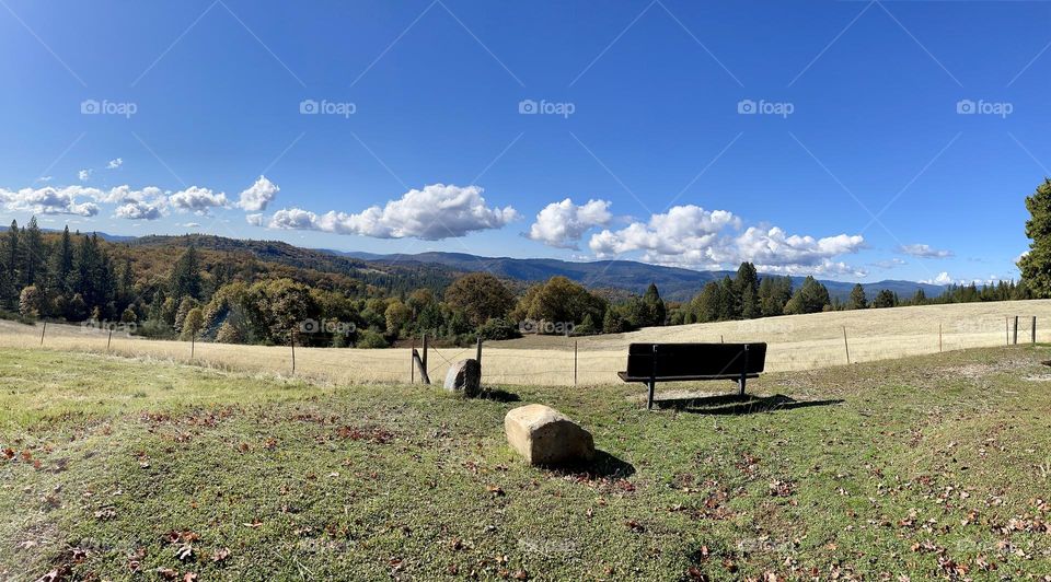 Outdoor bench 