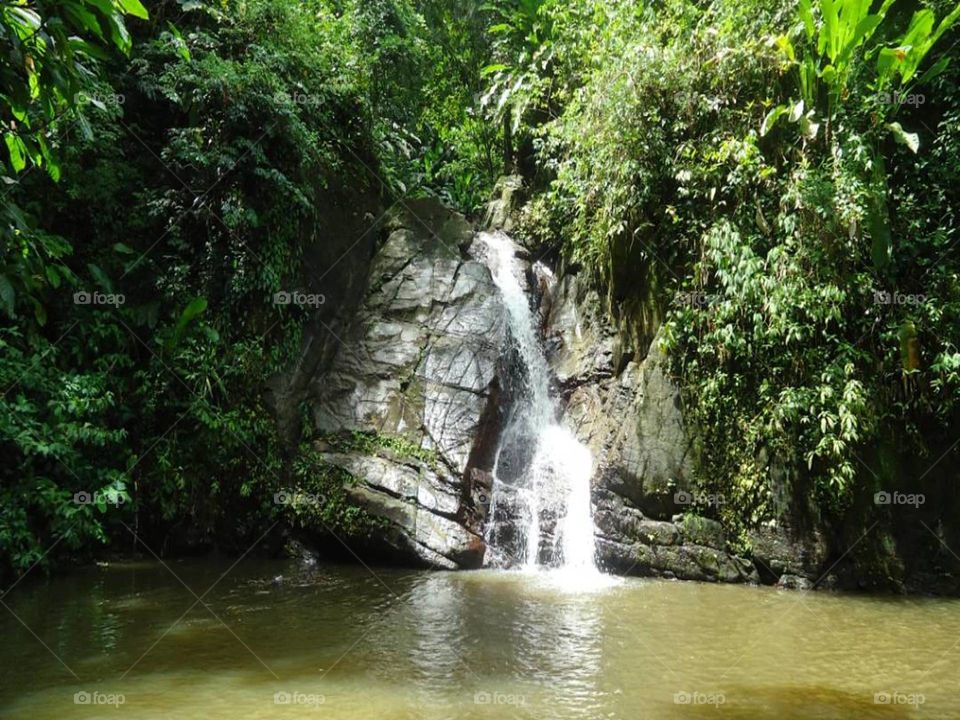 Castara, Tobago