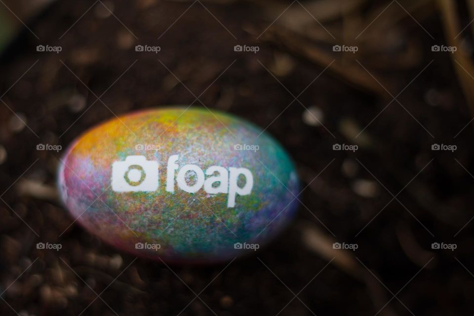 Colorful Foap egg