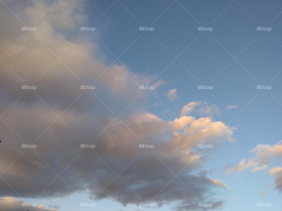 Editors' Choice: Photo of the Week