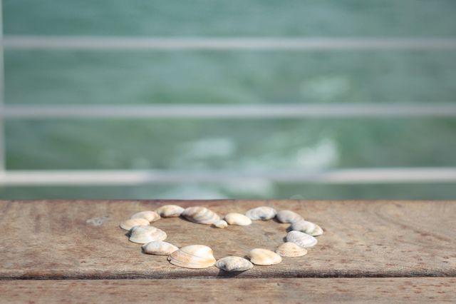 shell with the heart 