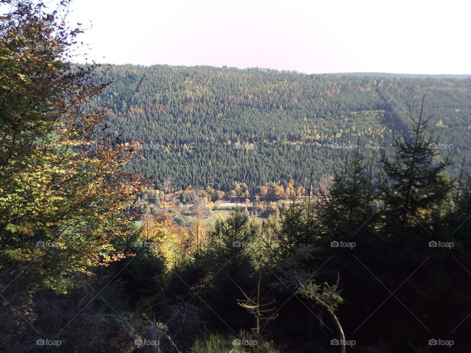 Autumn in the Black Forest