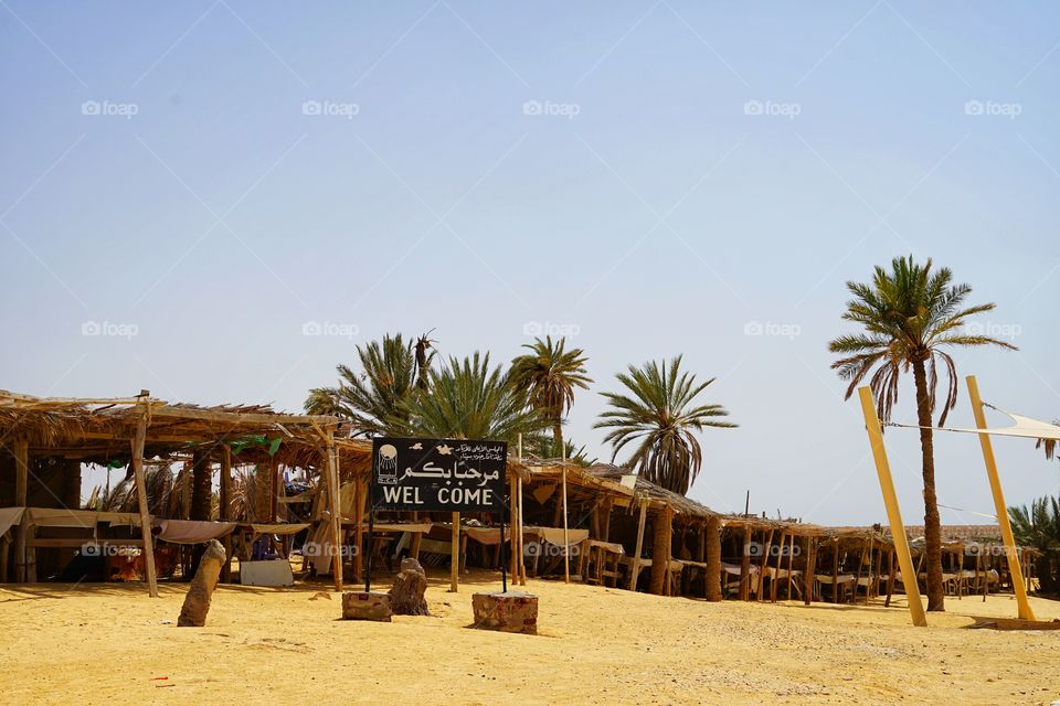 a Bedouin camp in the desert of Sinai mountain of Egypt