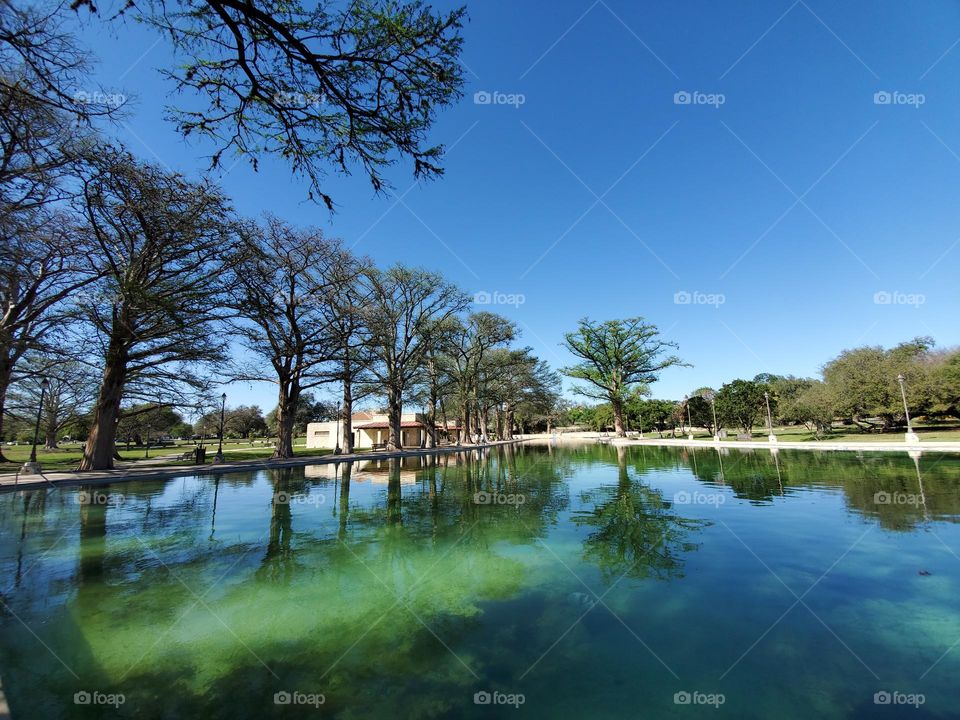 Tranquility by an all natural Spring fed pool at local city park surrounded by mature tall cypress trees.