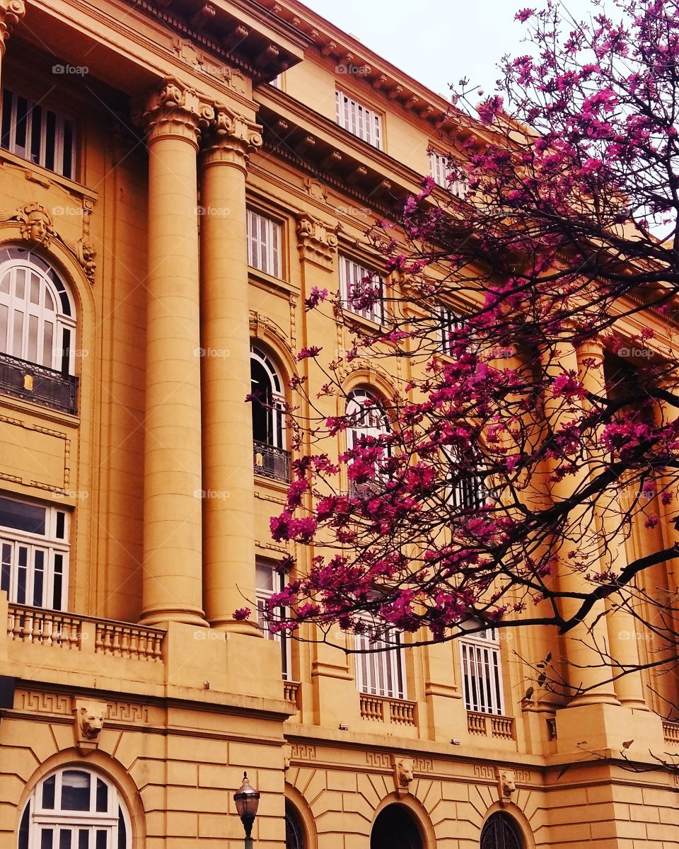 Museo da Praça da Liberdade em Belo Horizonte