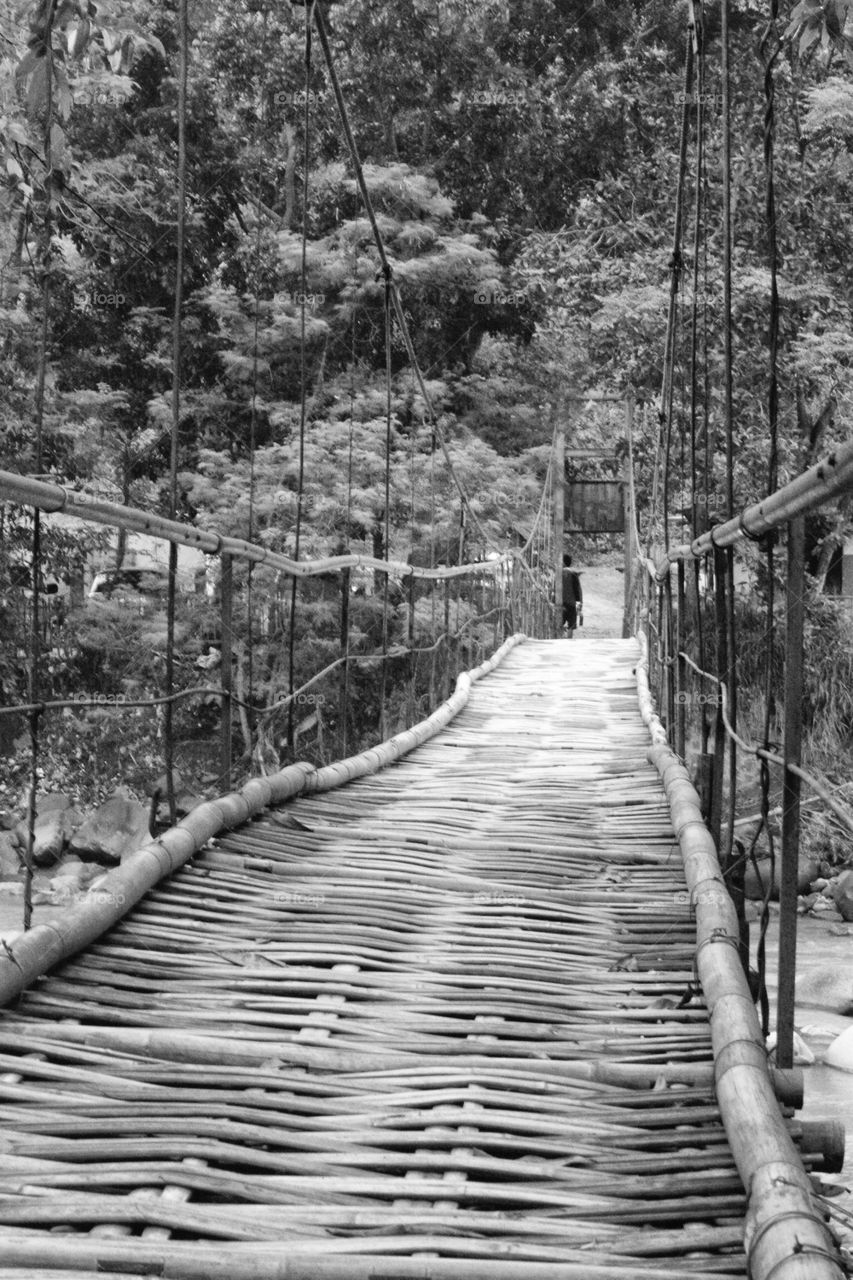 Bamboo bridge