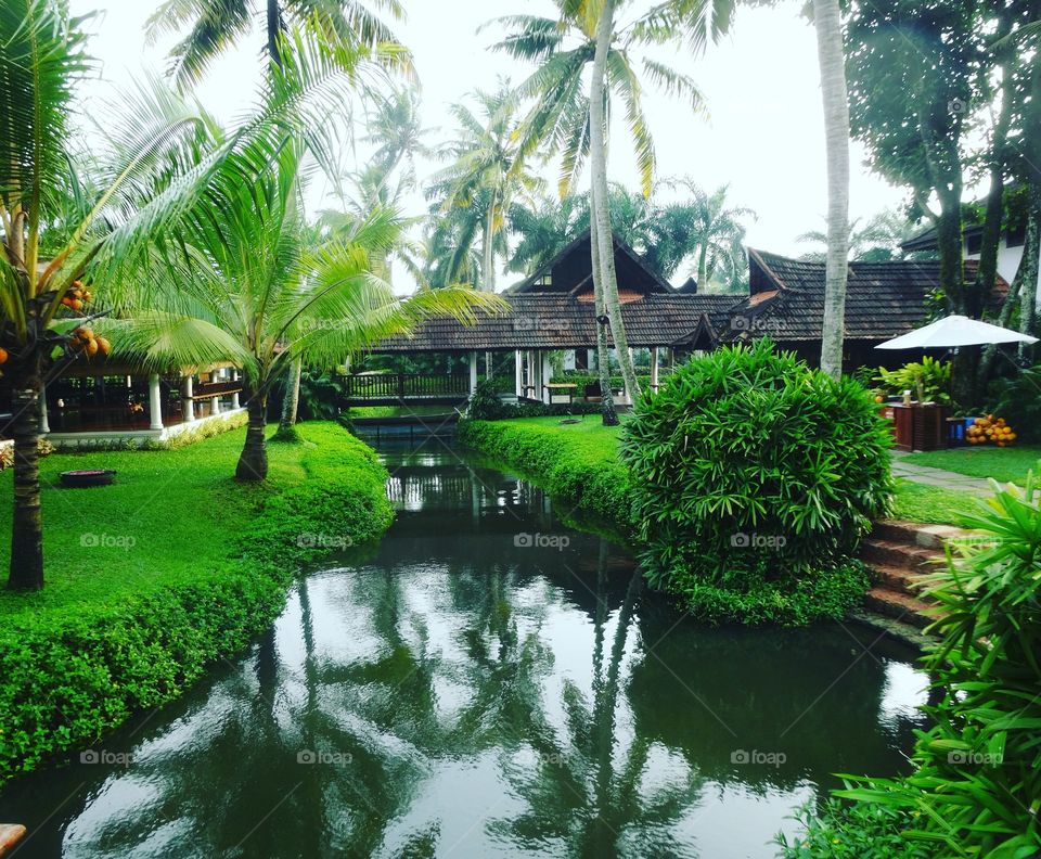 resort in the backwaters in Kerala