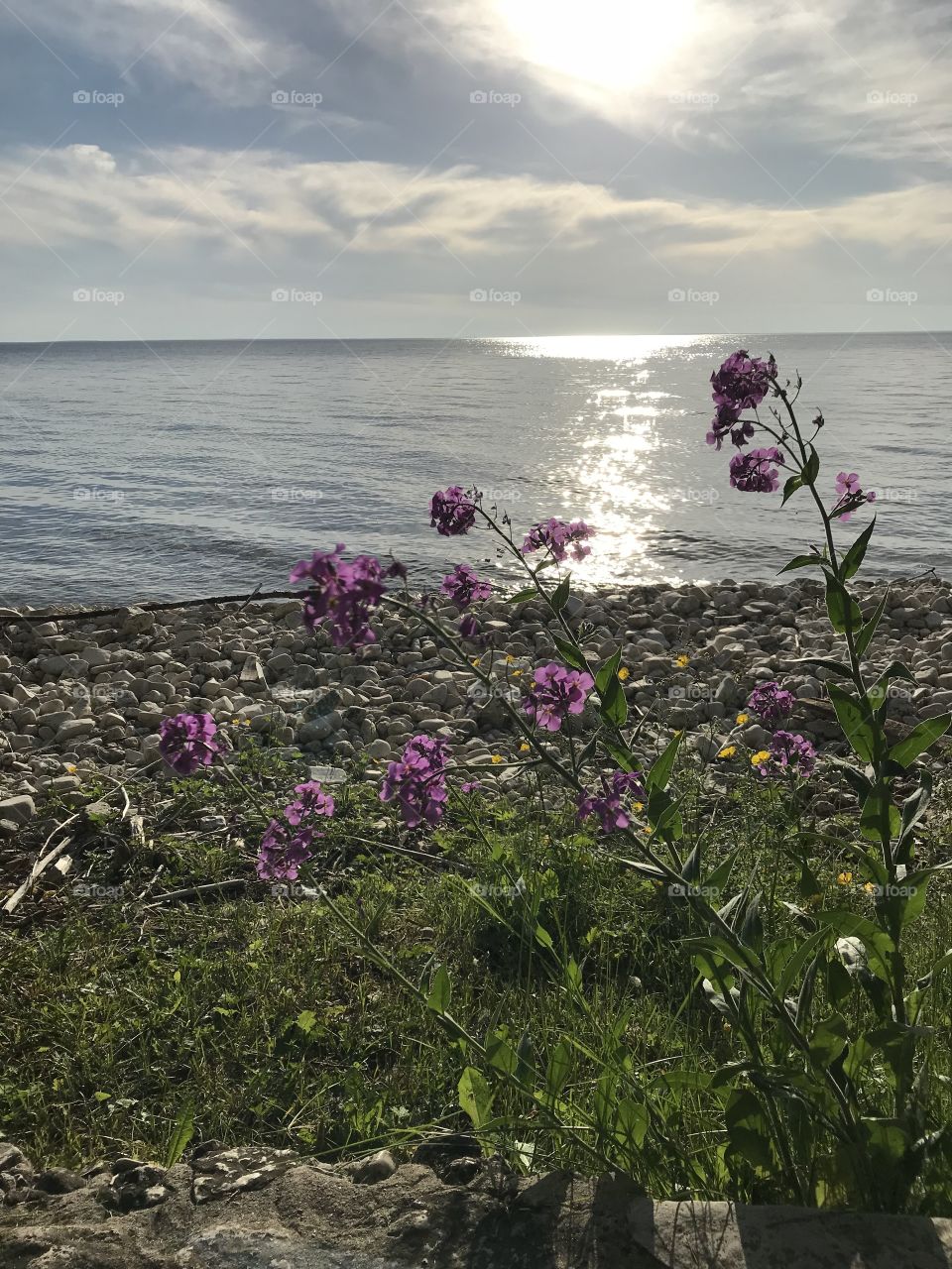 Down by the lake