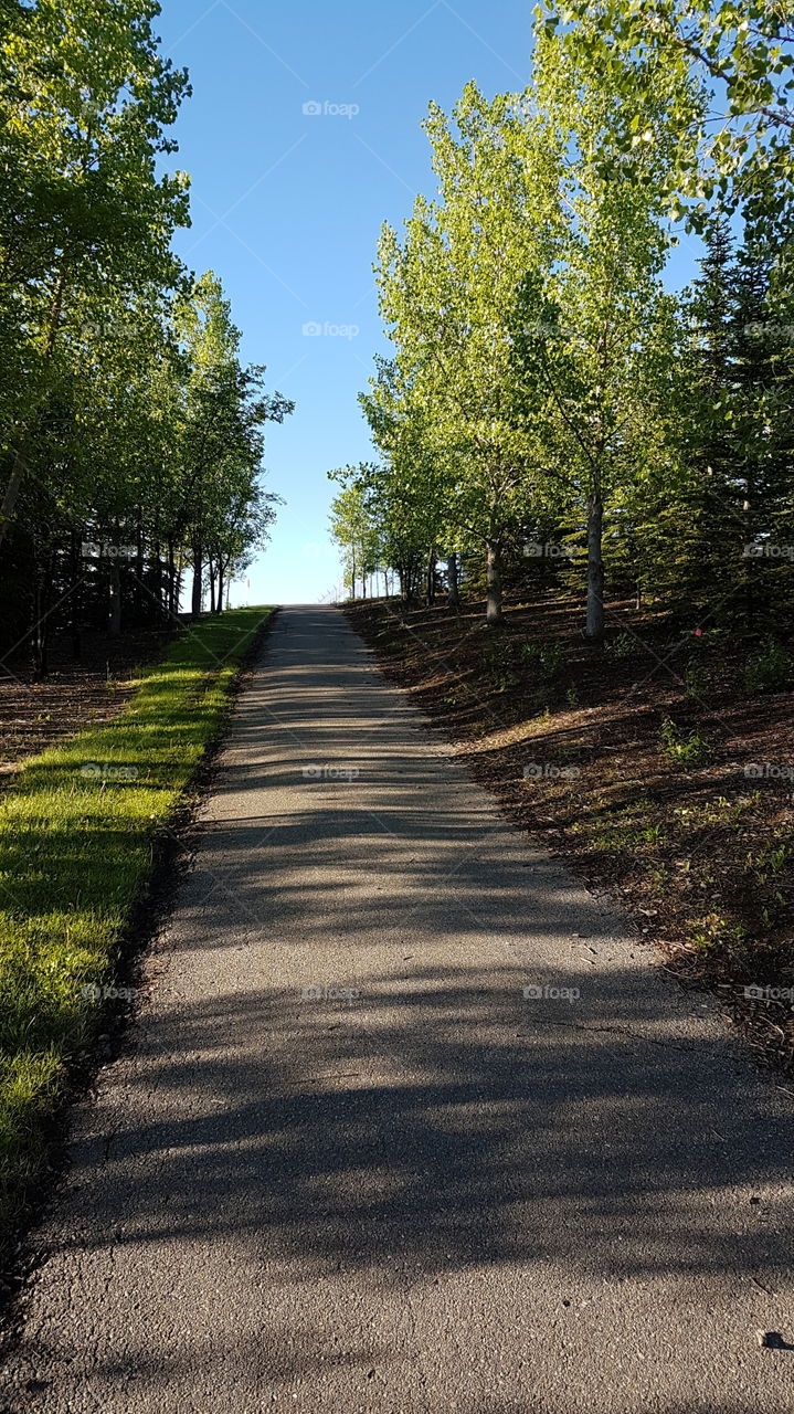 The Well Travelled Path