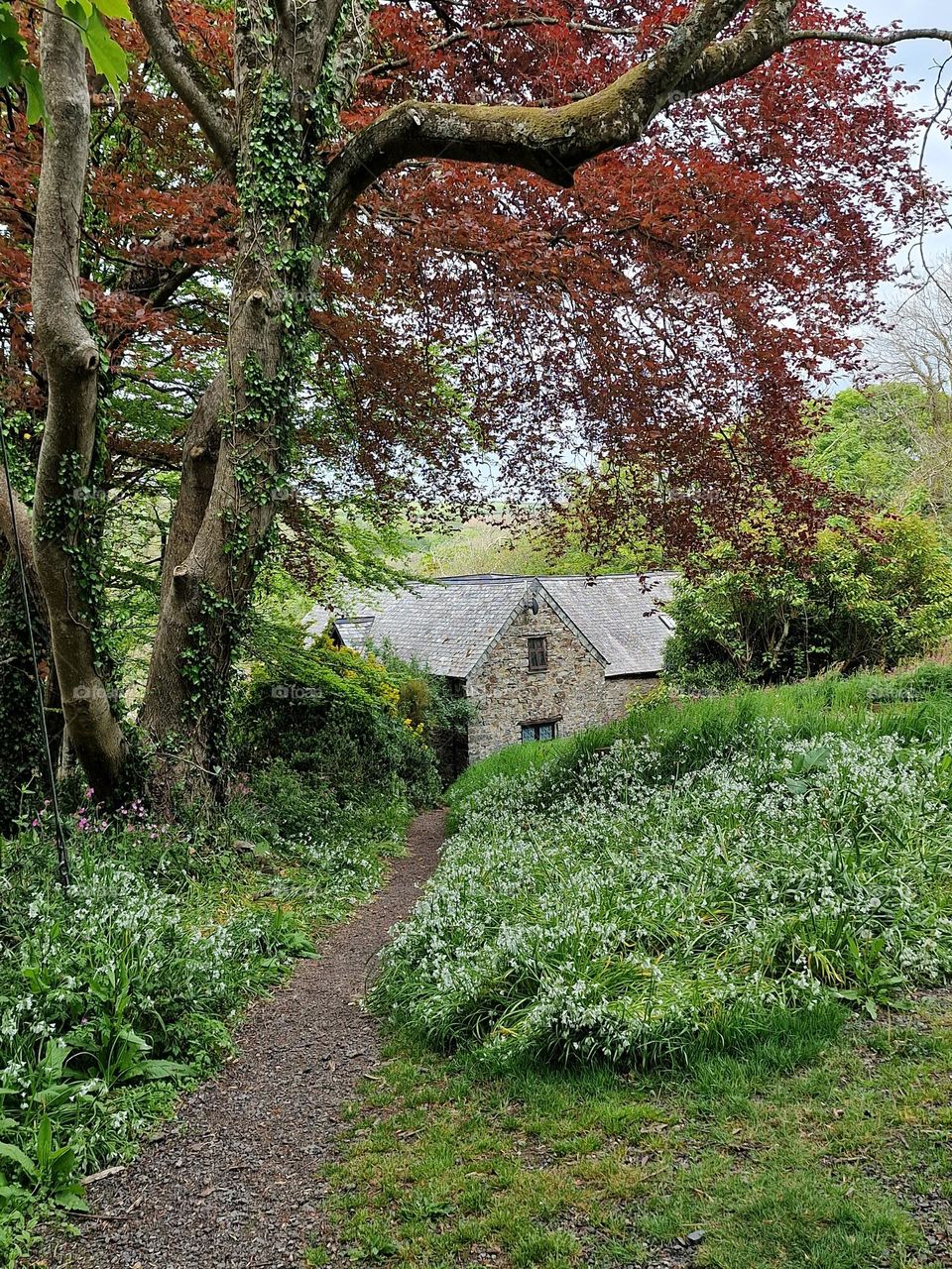 country cottage