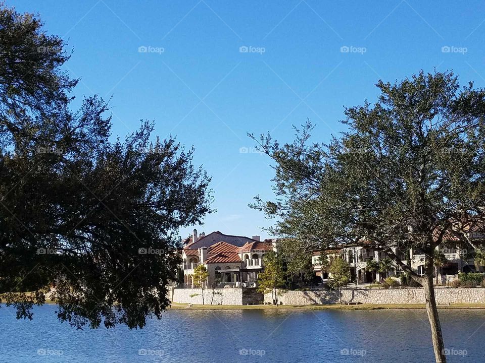 Tree, No Person, Water, Outdoors, Nature