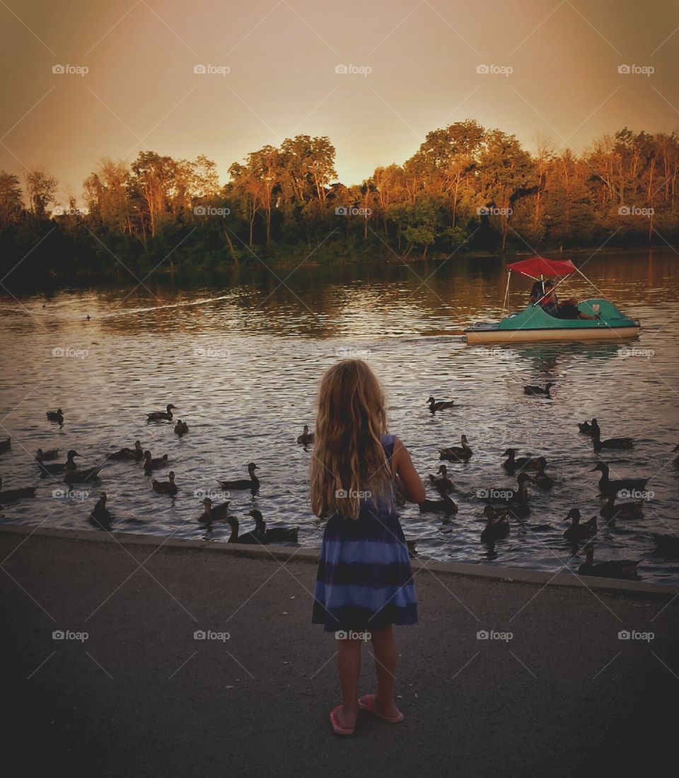 Girl Feeding Ducks