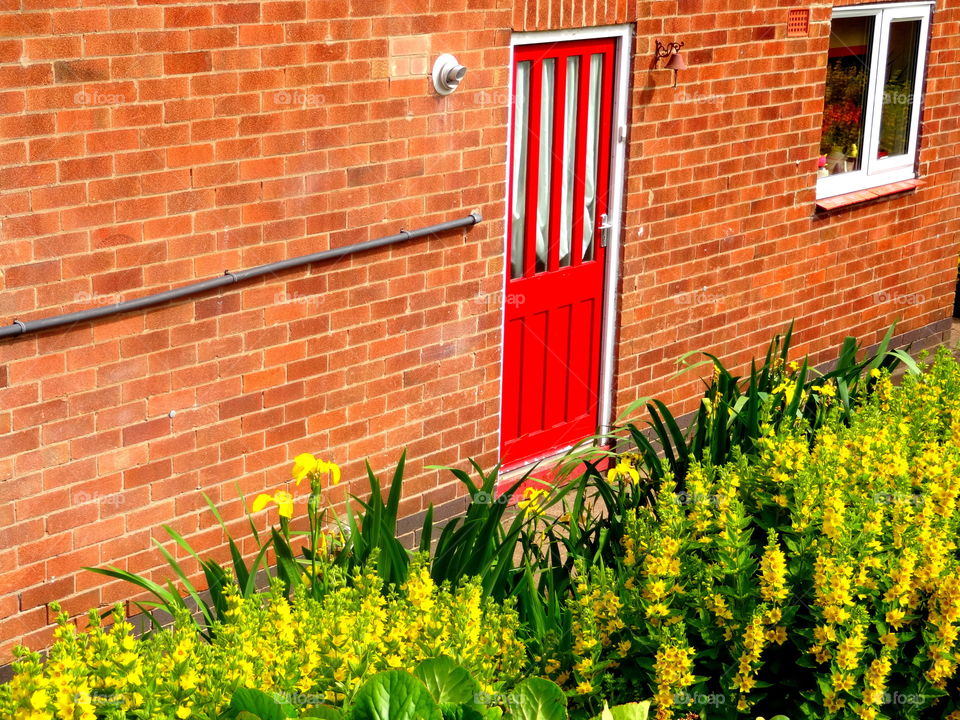 Amazing red door