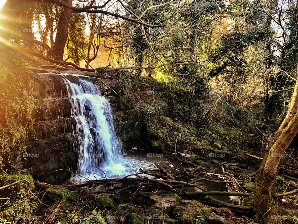 Beautiful misty winter sunset behind a woodland waterfall