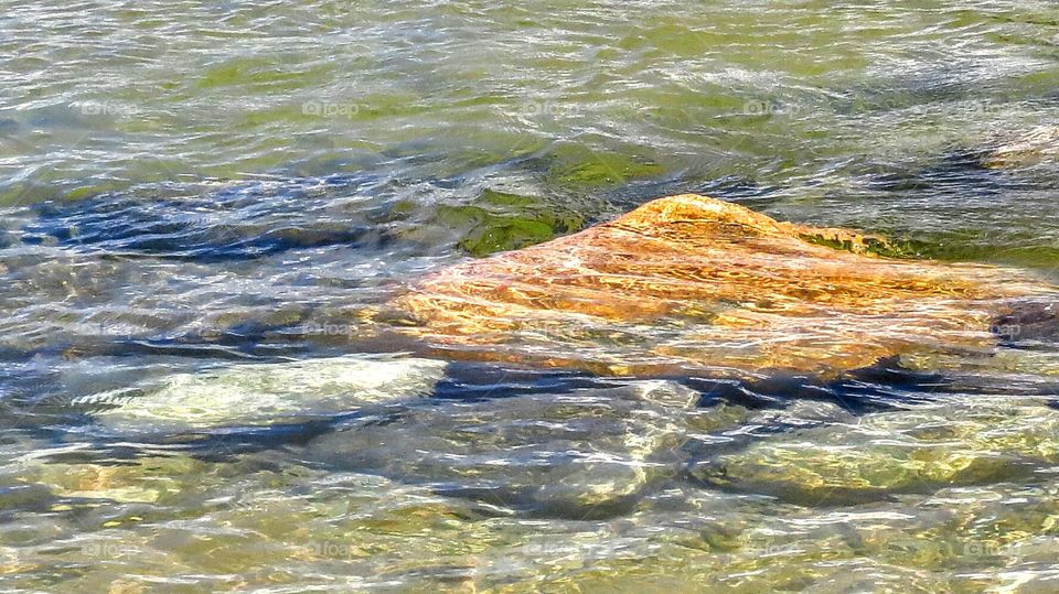 Rocks under shallow water