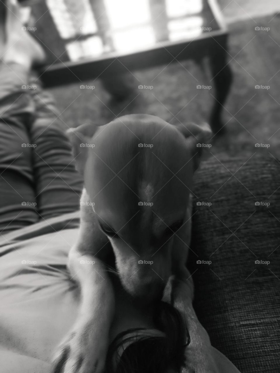 love no one can hand