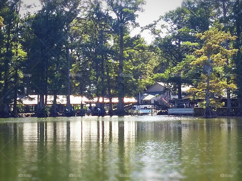 Cypress Point Resort in Tennessee