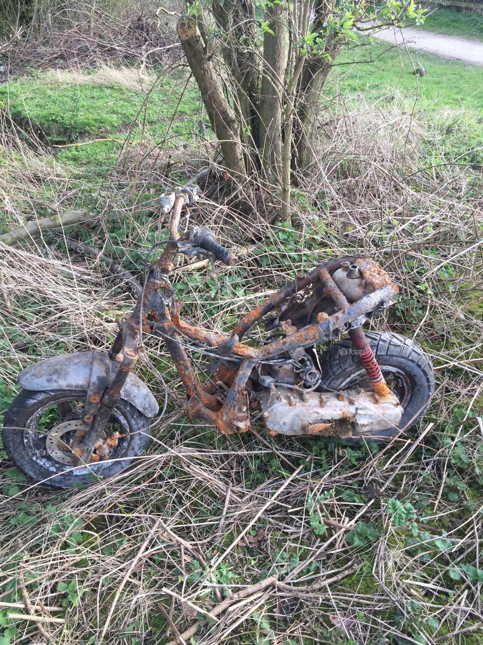 Rusty motorbike in woods