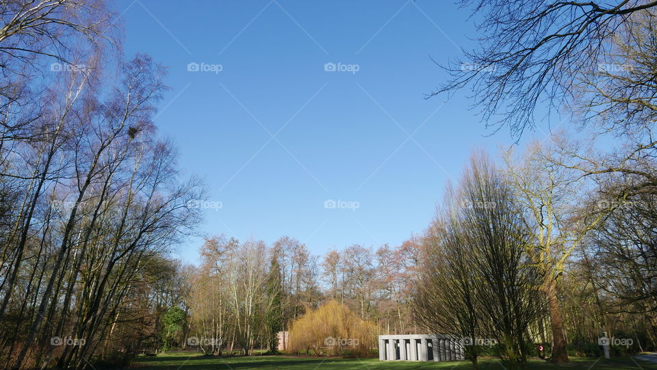 Winter in a park in Antwerp, Belgium, February 2018.