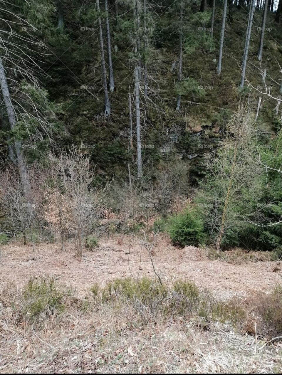 week end dans les Ardennes belge