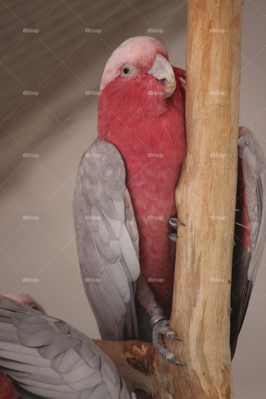 do you sleep like this?