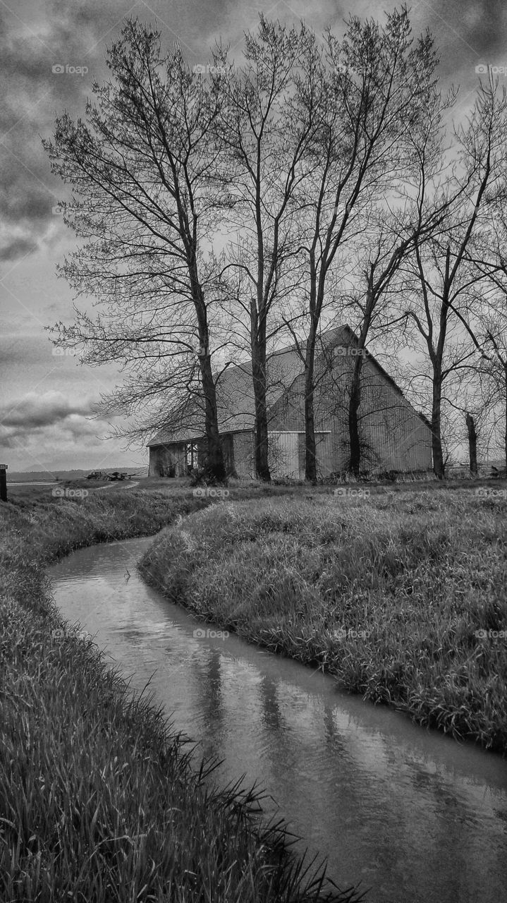 Barn Skaggit Valley Washington