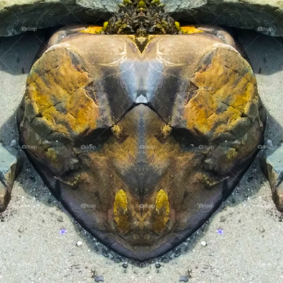 black&gold stone mask