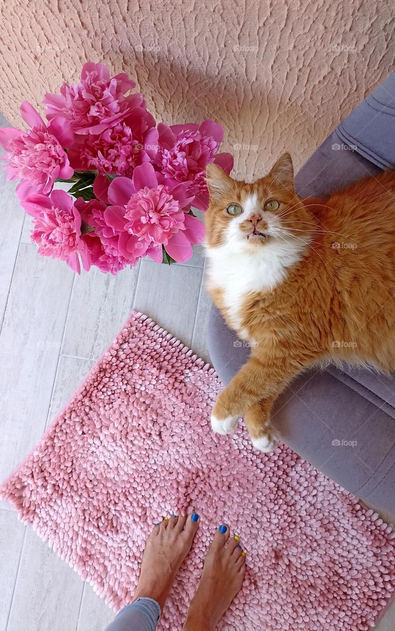 summer time Barbie style, pink flowers and cat beautiful portrait