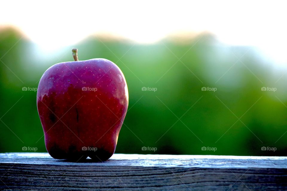 Apple on a summer evening 