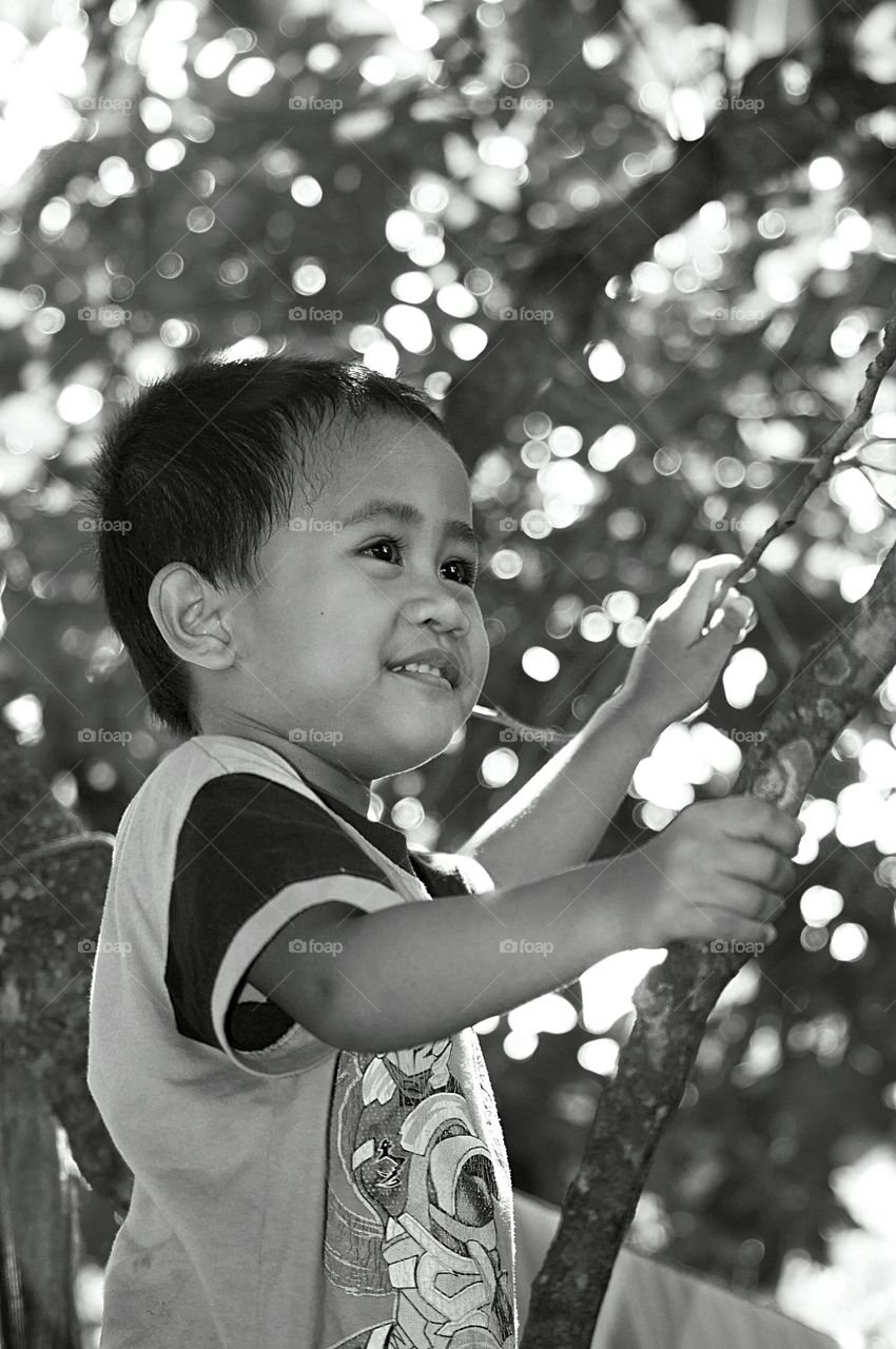 Indian boy holding tree branch