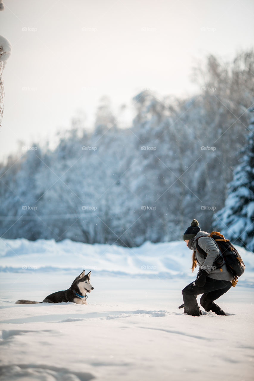 Walking with husky in winter park at sunny cold day