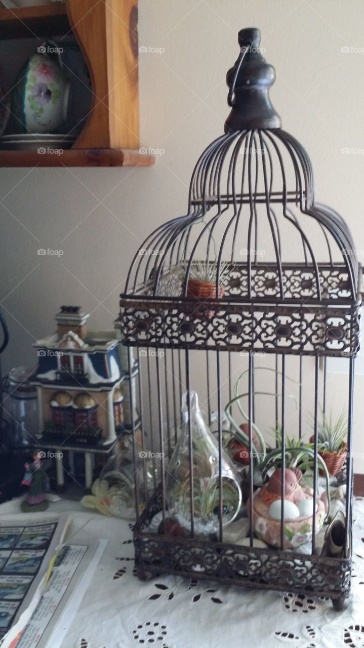 No Person, Furniture, Room, Cage, People