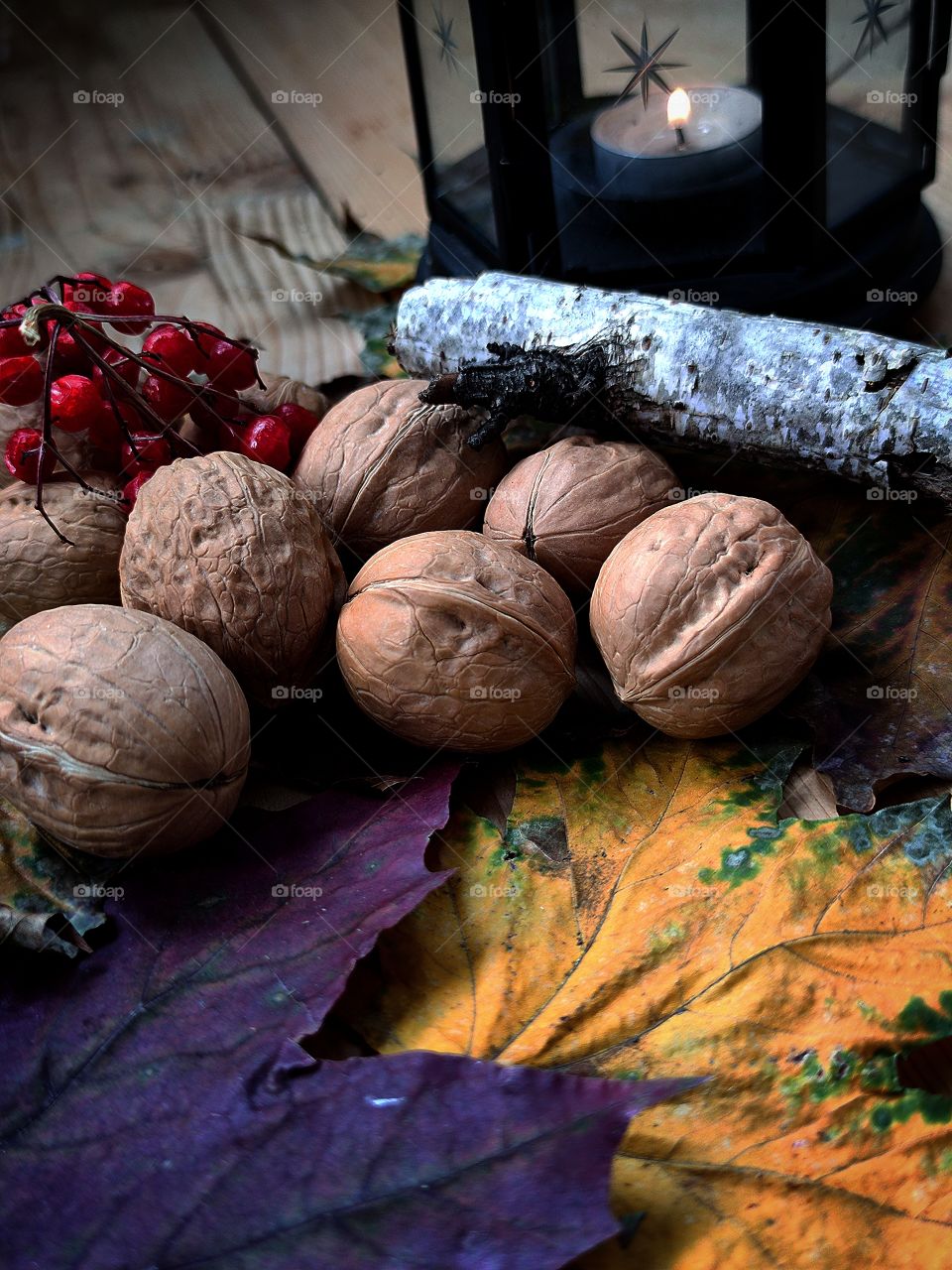 Composition.  Walnuts lie on colorful autumn leaves.  Birch branch.  A bunch of red rowan berries.  In the background is a black lantern with a lit candle