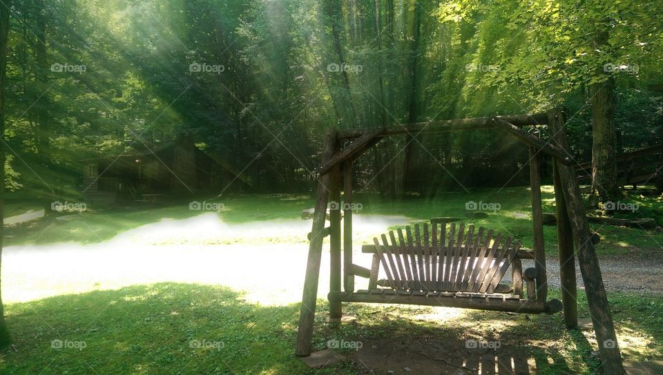 swing
forest 
sun rays
woods
outdoors