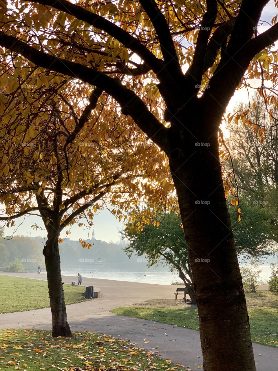 Park in autumn in Hamburg 