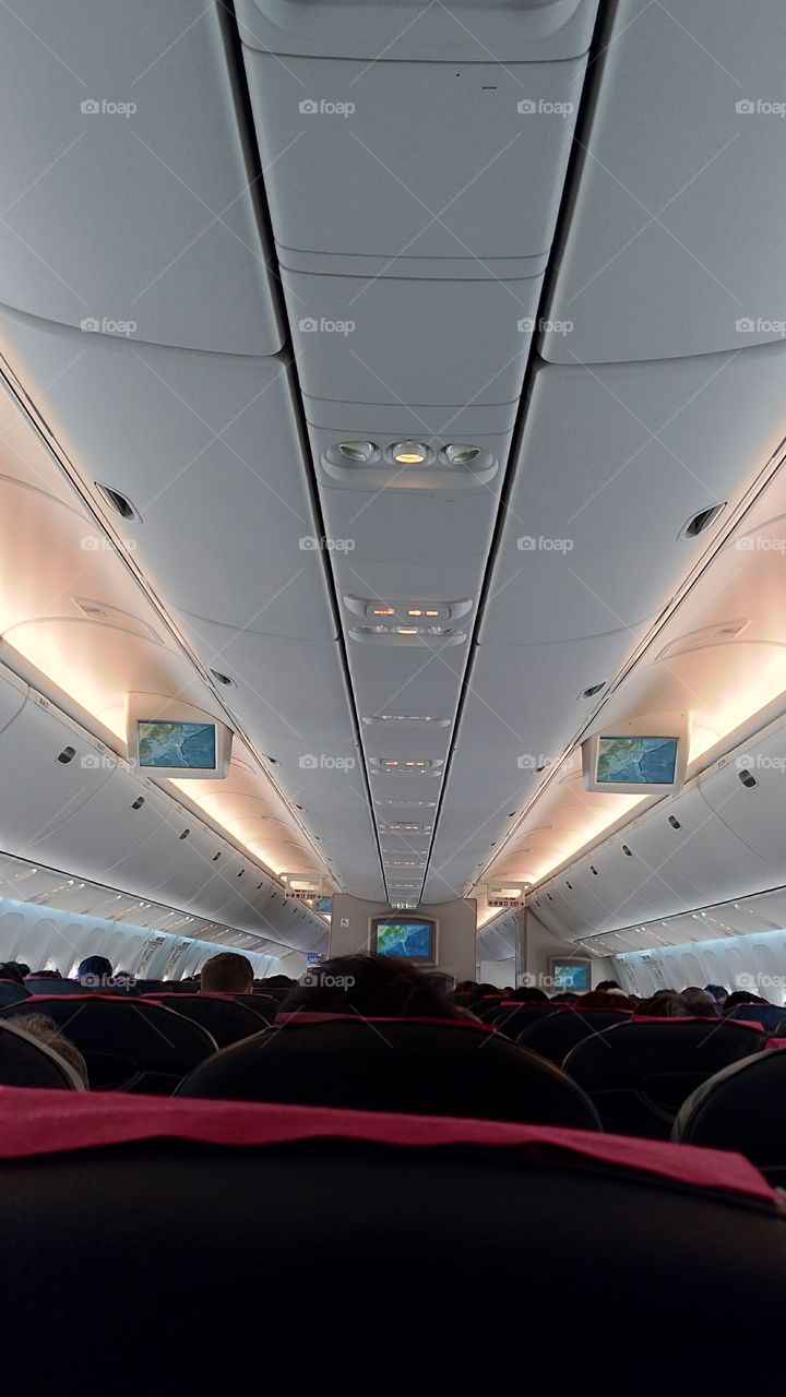 Airplane cabin