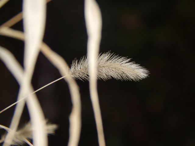 Look close 