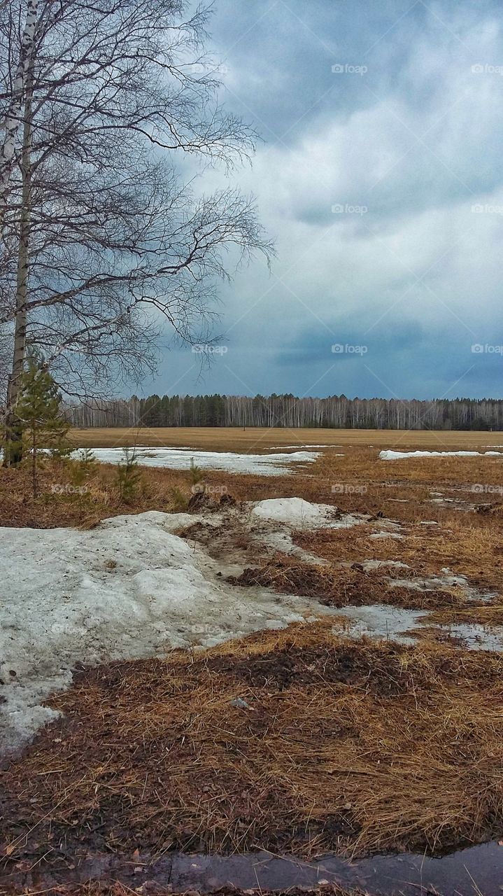 вид на поле ранней весной, еще не стаял снег