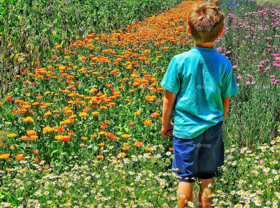 Young Boy In A California Garden