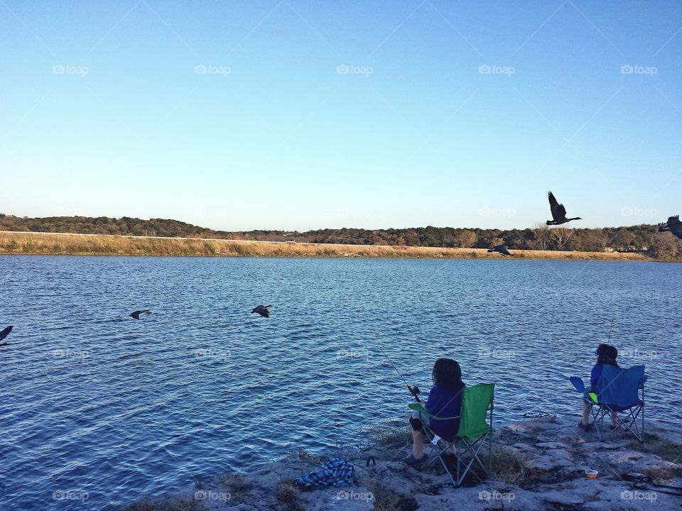 Canadian Geese Fly By