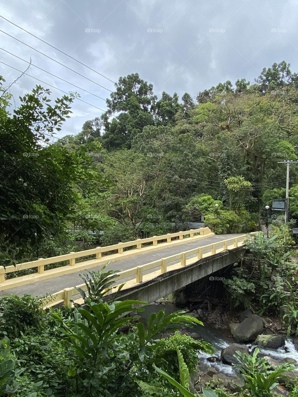 Yellow Bridge
