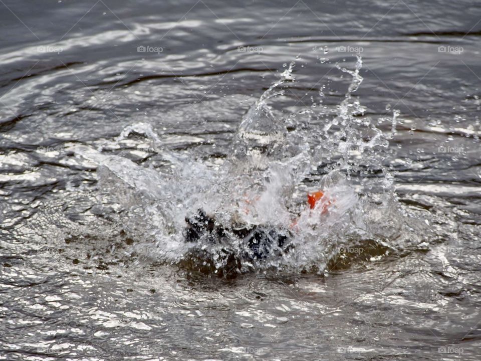 That suppose to be a duck 😶