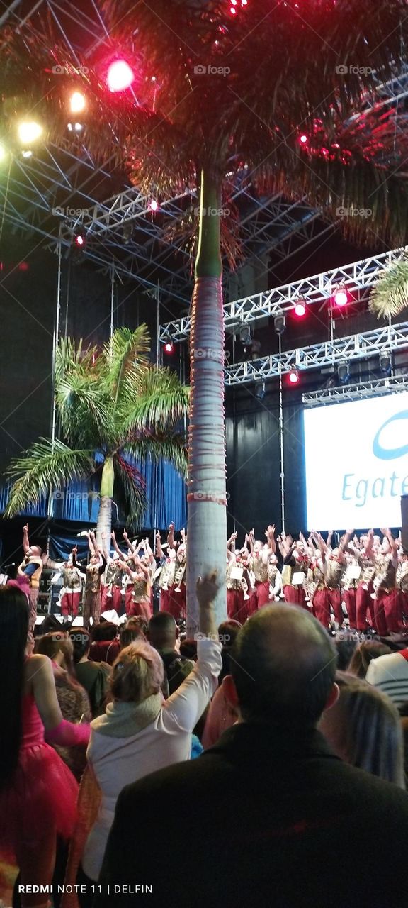 carnaval concurso murgas tenerife