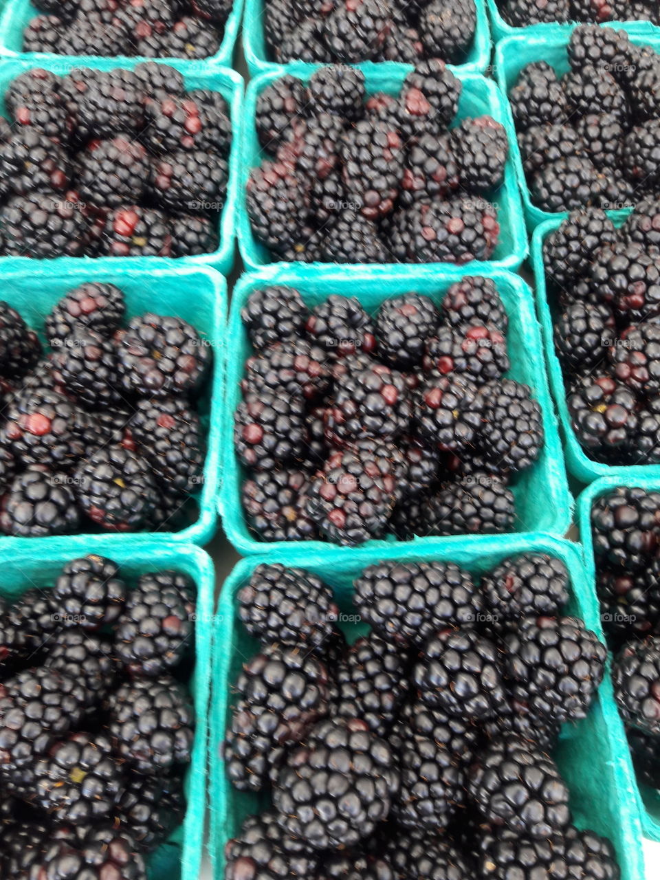 Full frame of blackberry