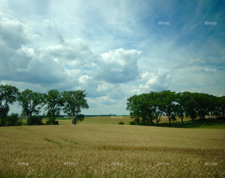 Landscape, Agriculture, Field, Farm, Countryside