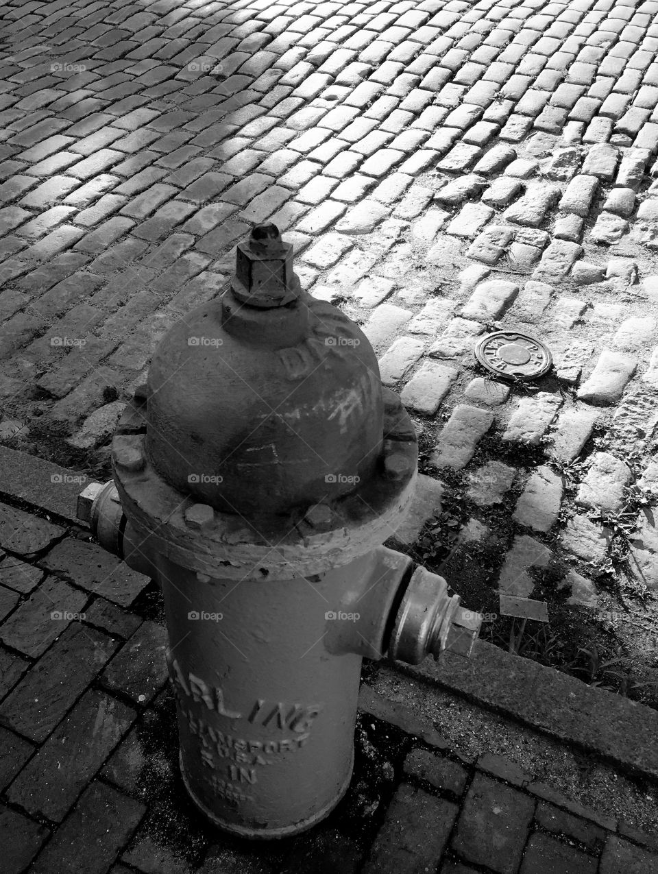 Fire Hydrant and Cobblestone Street