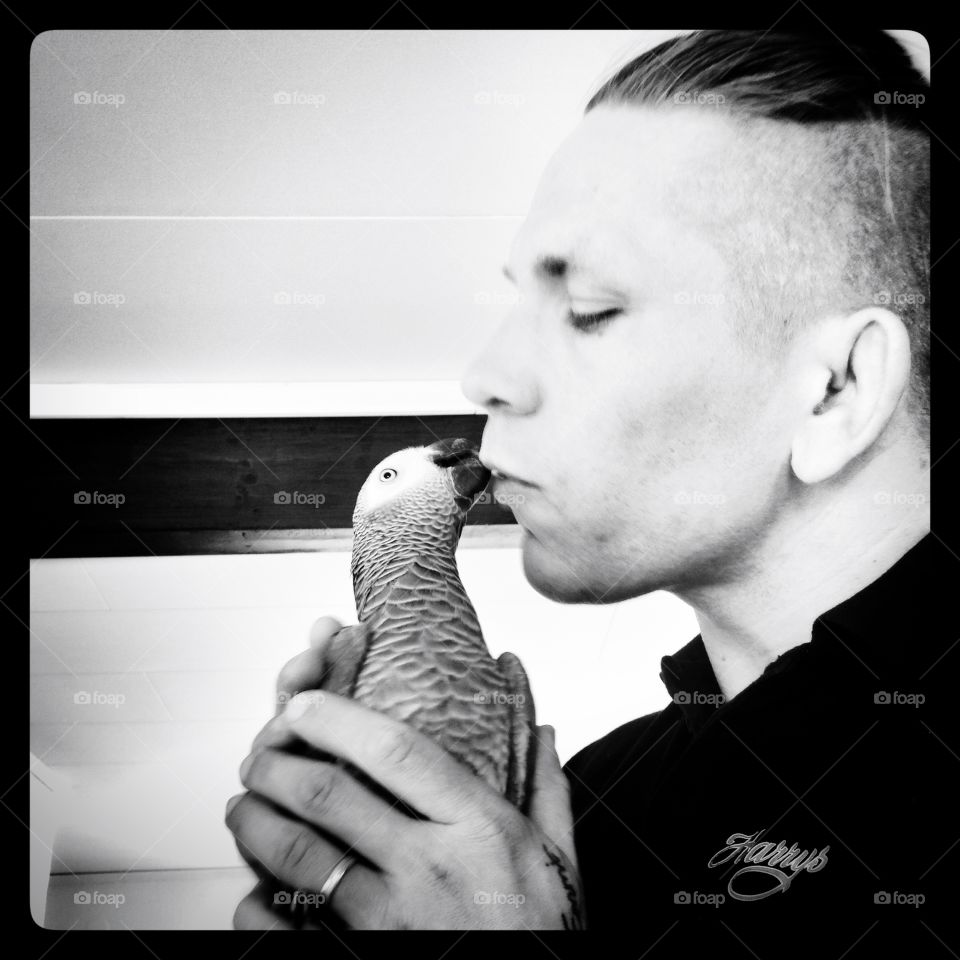 Parrot. Kiss