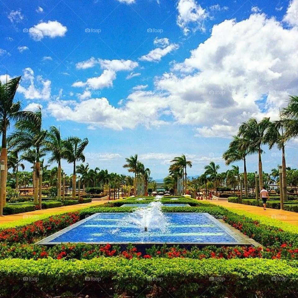 Paradise . Shot on vacation in Costa Rica 