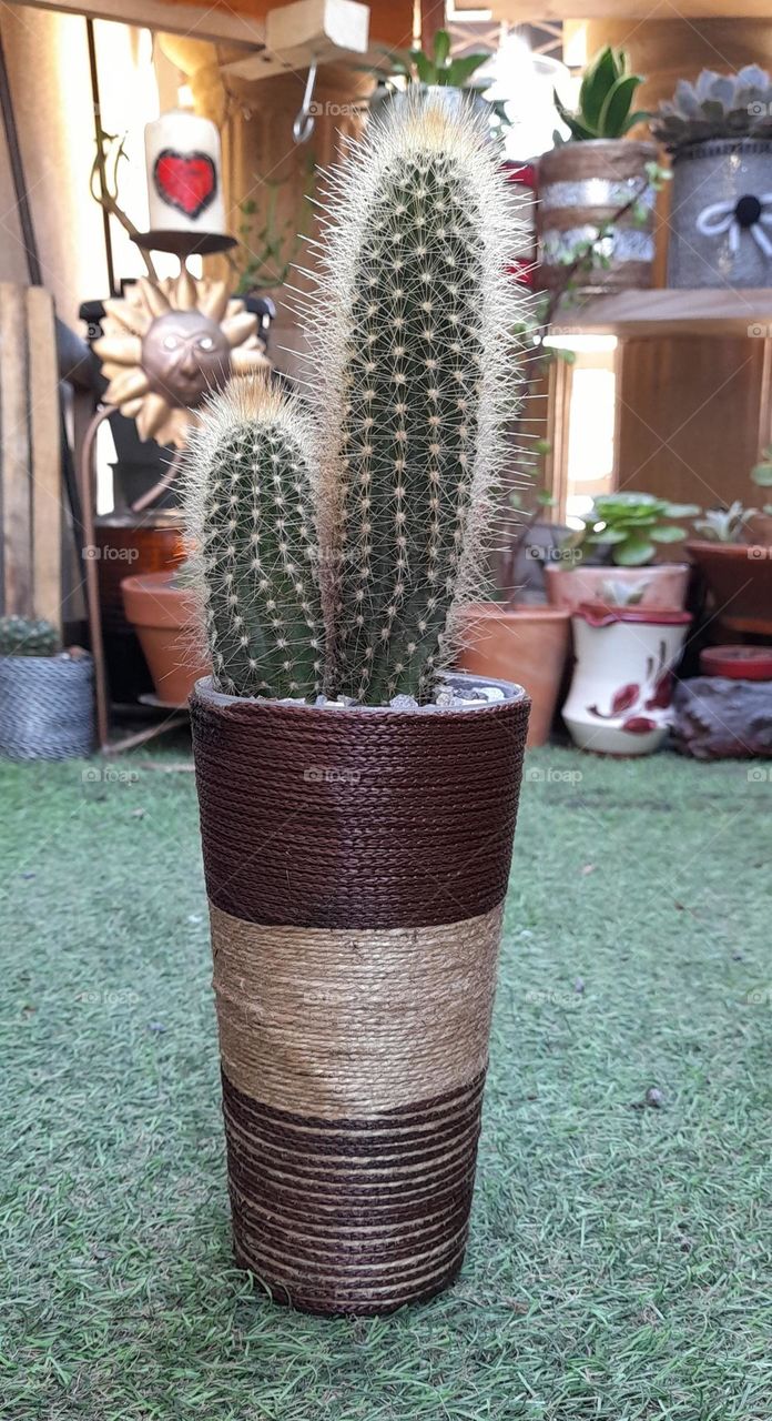 mes pots customisés