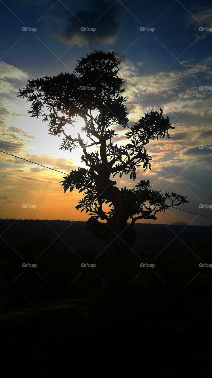 sunset (nature's love)